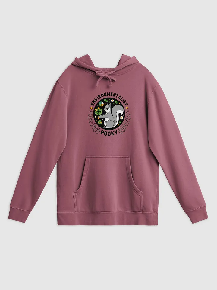 Super Soft Ultra High Quality Hoodie: Environmentalist Pook product image (1)