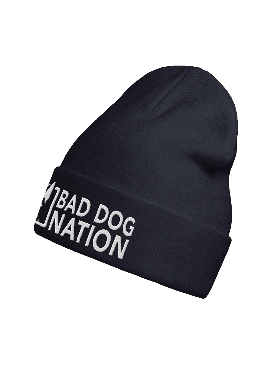 Bad Dog Nation Logo Knit Beanie product image (18)