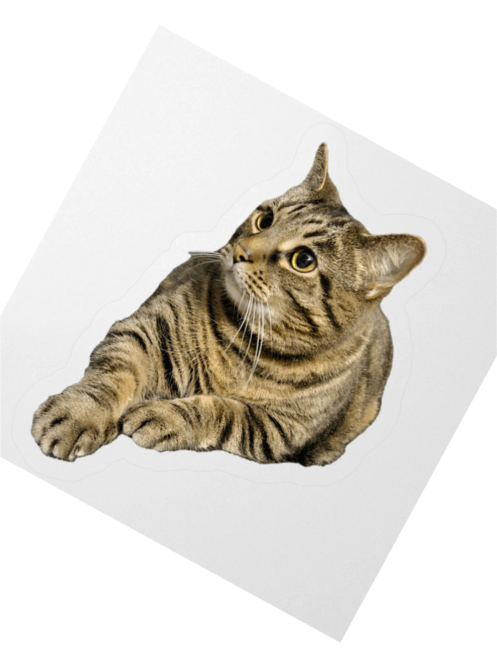 Buddy the Sir Chungus Amungus Sticker product image (2)