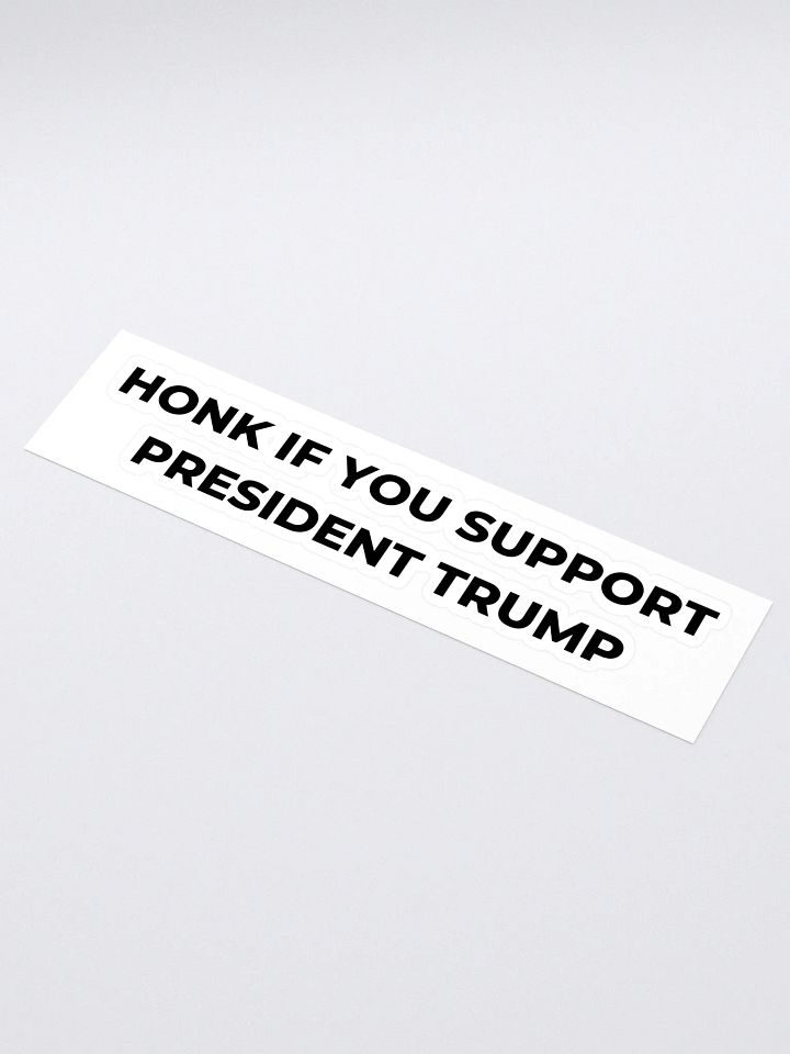 CONSERVATIVE BUMPER STICKER product image (1)