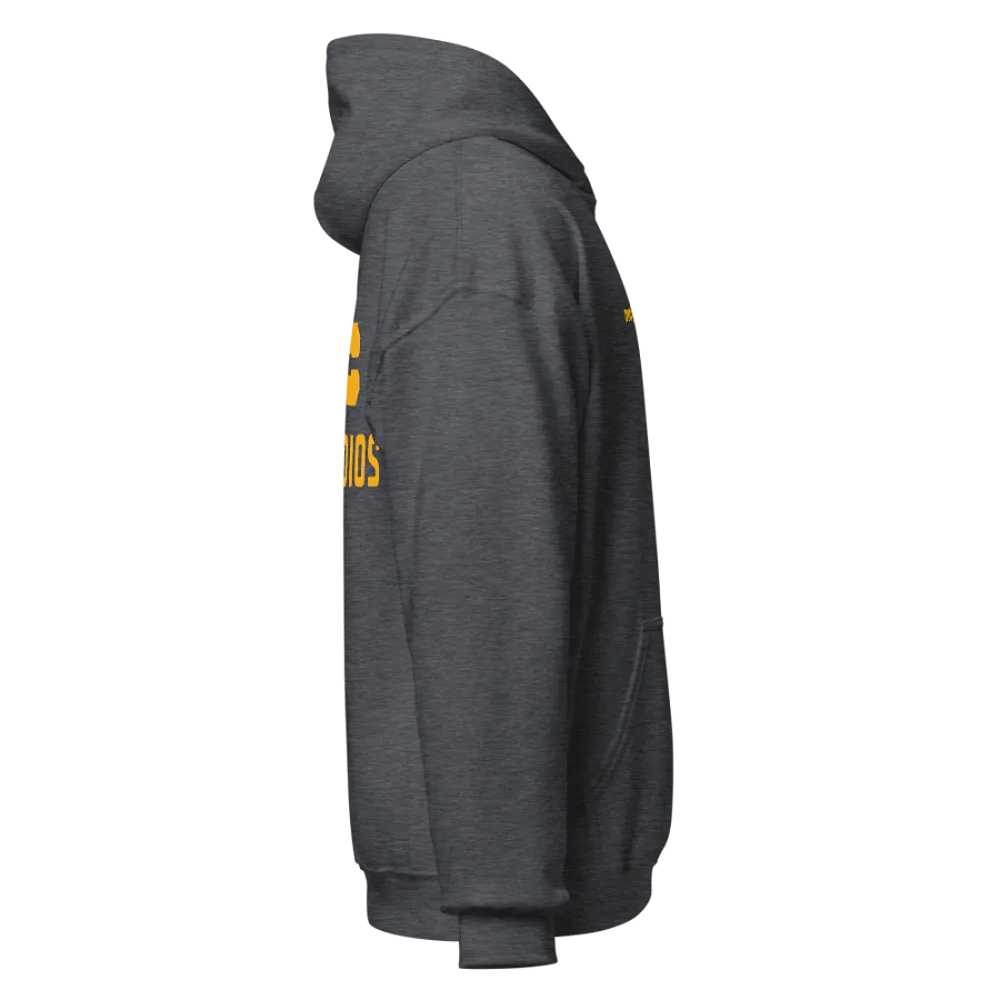 DYC Studios Classic Hoodie product image (5)