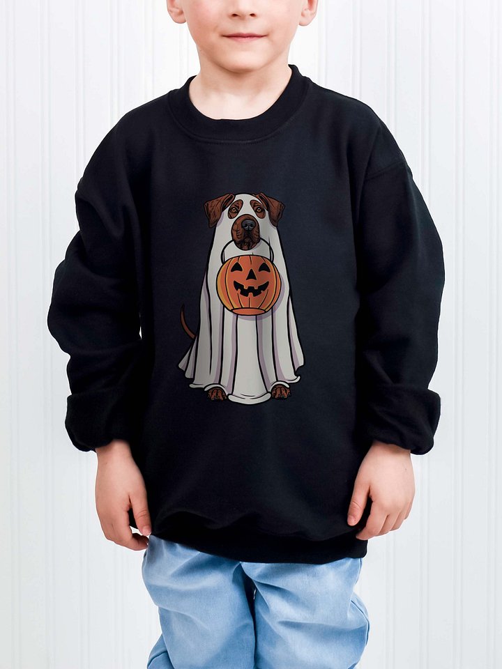 Halloween Rhodesian Ridgeback(Red) Youth Sweatshirt product image (1)