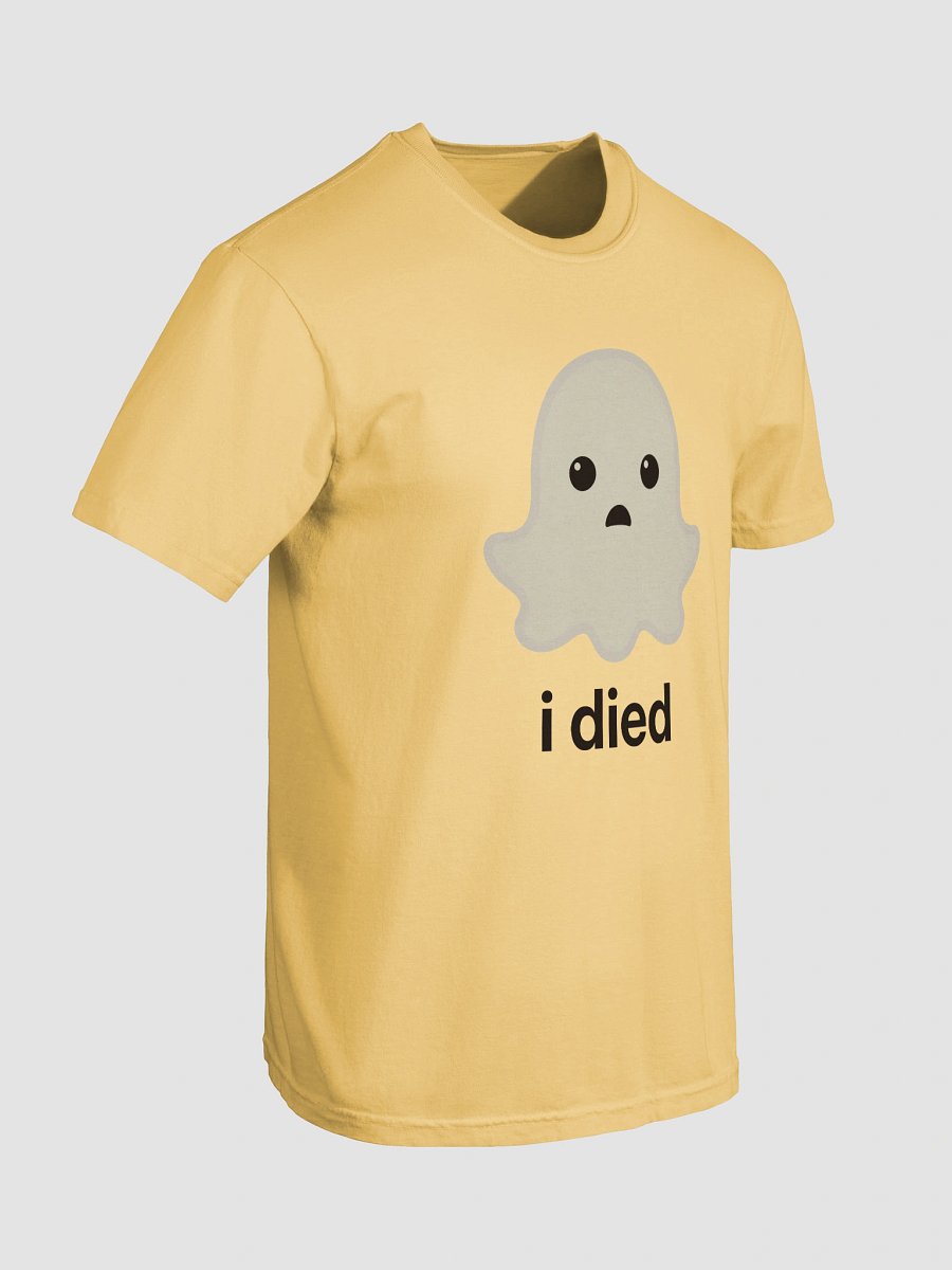 Sad Ghost Heavyweight Tee - Light Color product image (90)