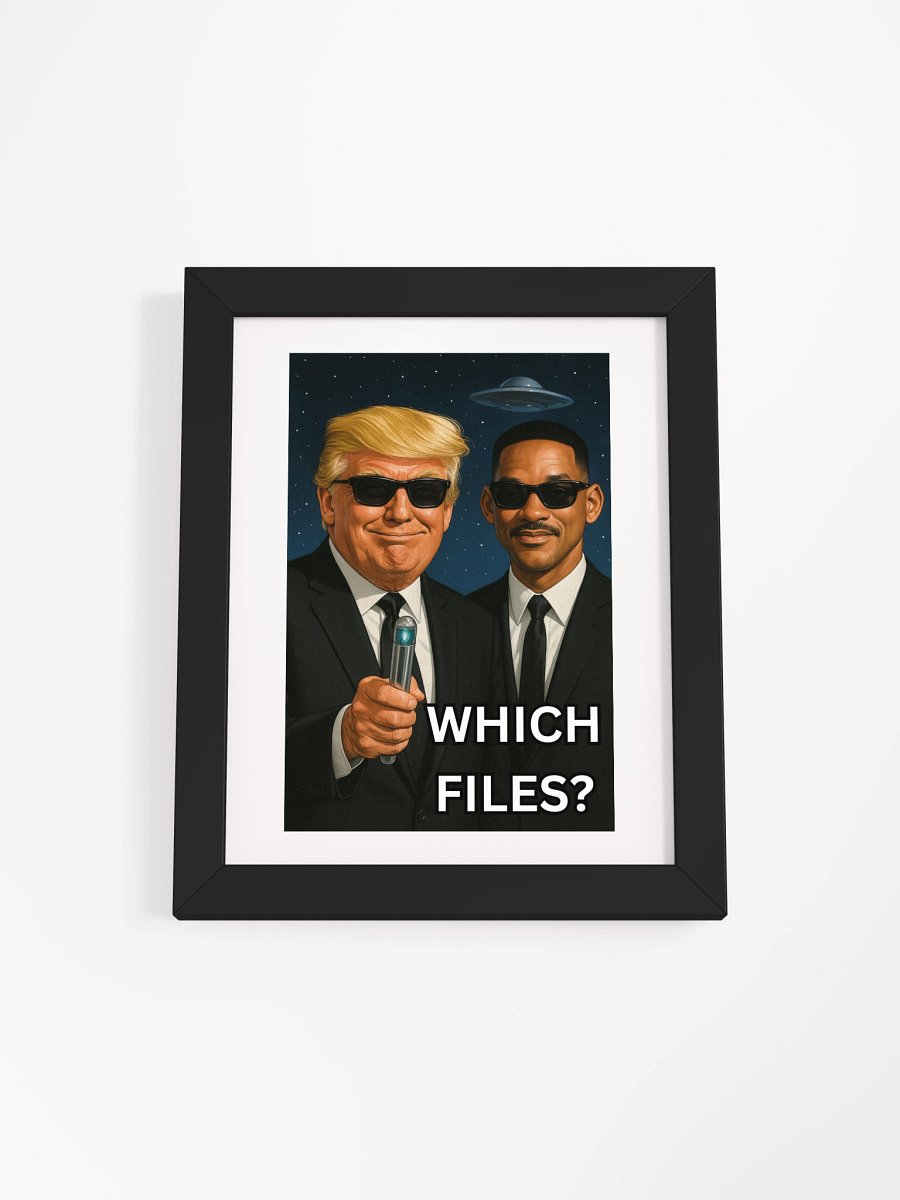 WHICH FILES? product image (2)