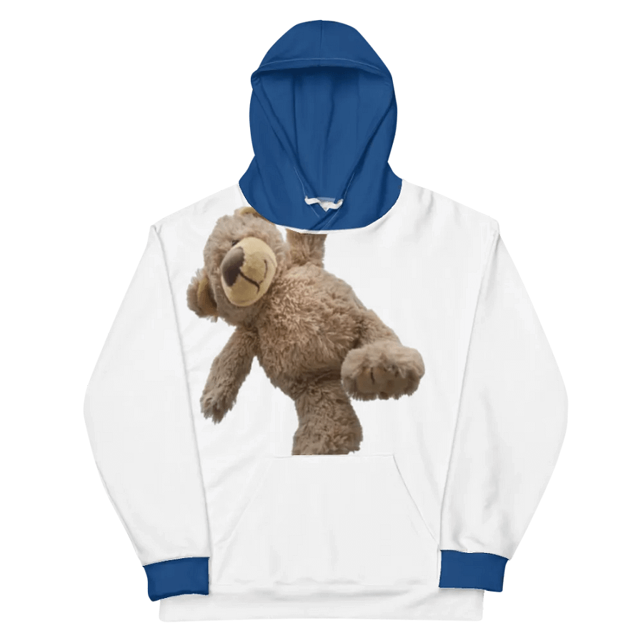 Bear hoodie product image (11)
