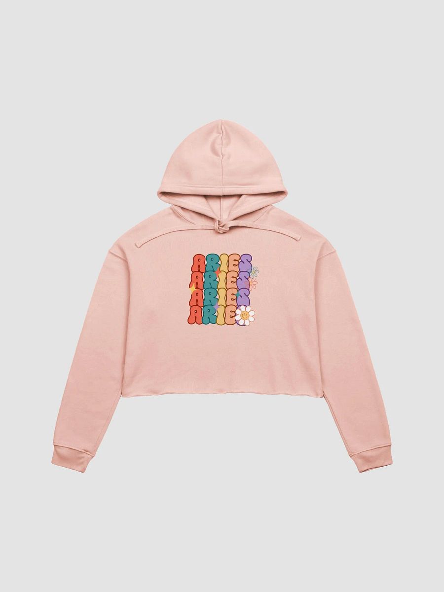 Aries Groovy Cropped Hoodie product image (1)