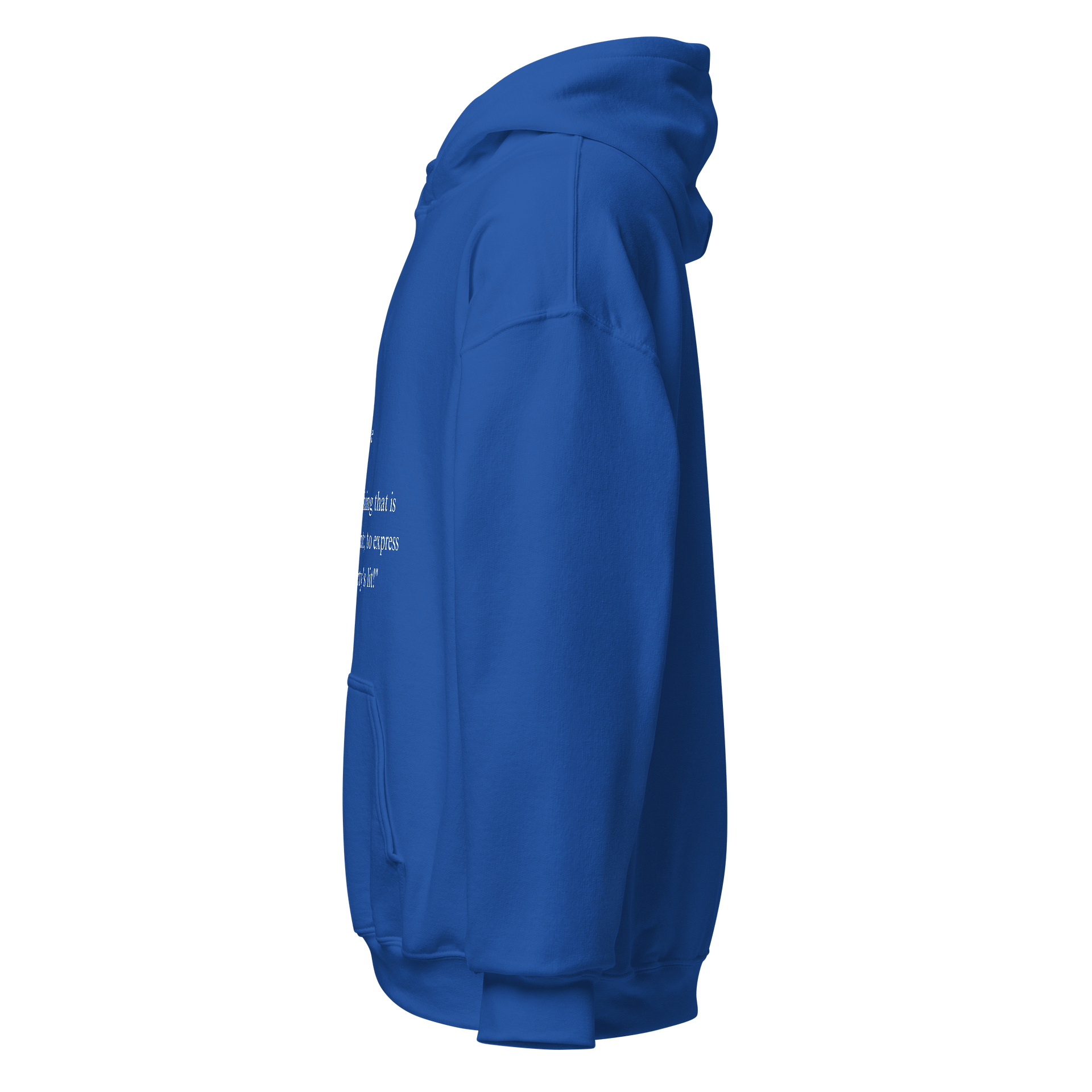 Lit (Slang terms) Classic Hoodie product image (17)