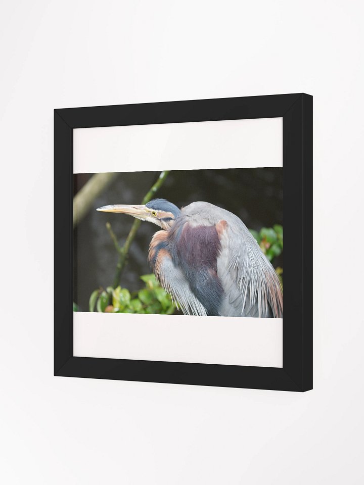 Vibrant Ayous Wood Framed Matte Poster product image (8)
