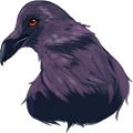 Corvin