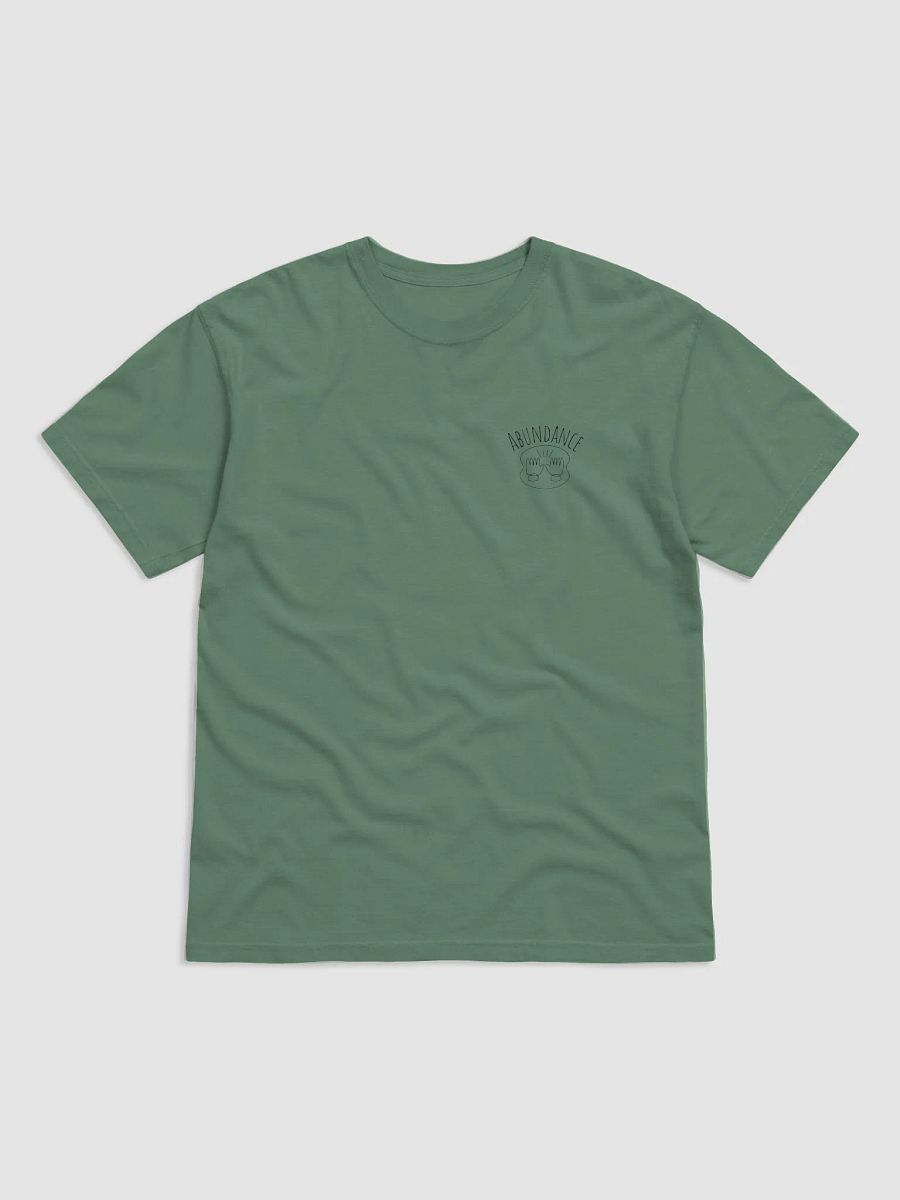 ABUNDANCE product image (6)