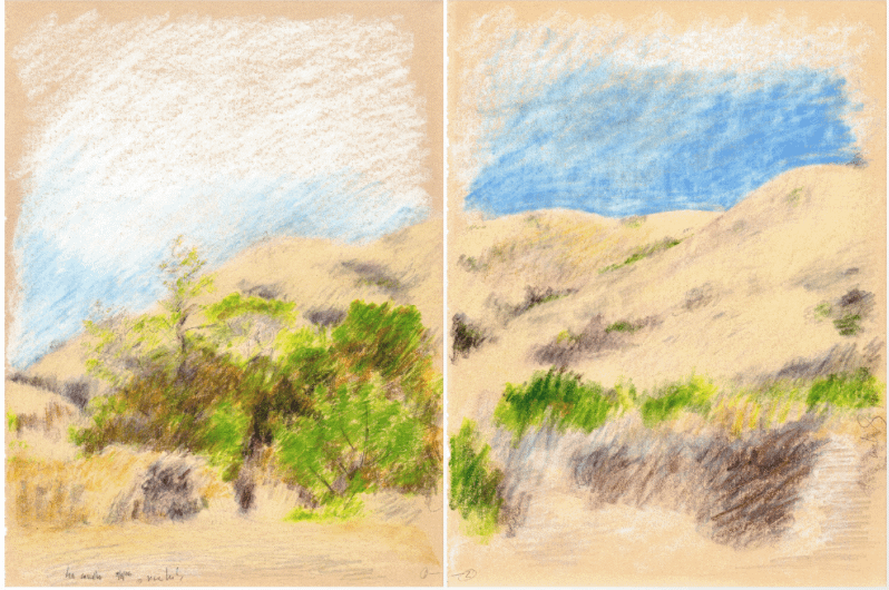 Leo Carillo State Park, CA #1 & #2 (diptych) 09.08.86 print product image (1)