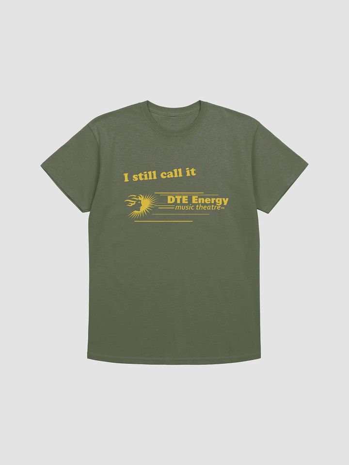 I still call it DTE Energy Music Theatre (Green Tshirt) product image (1)