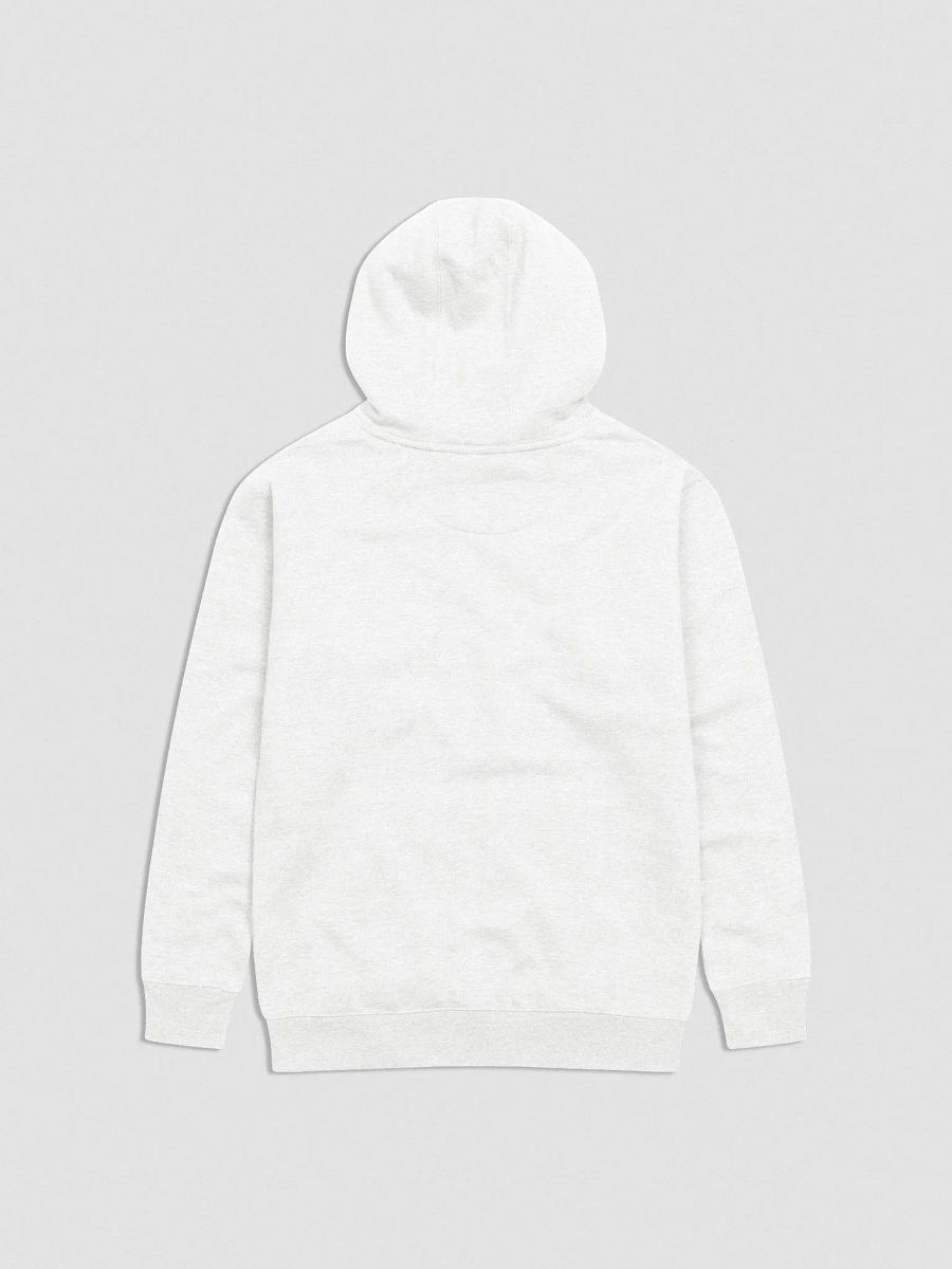 Veni Vidi Vici Hoodie product image (5)