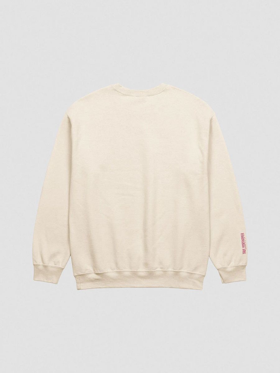 The Silent Worshipper Embroidered Sweatshirt| Light Colors product image (8)