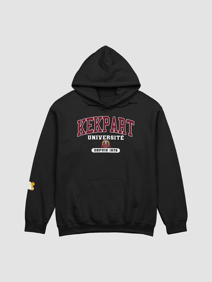 UKAQ College Hoodie product image (4)