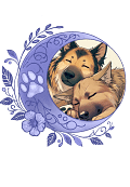 SleepyKatara