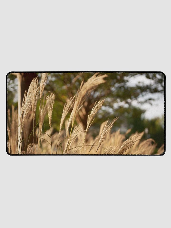 Desk Mat L1 - Southern Louisiana Series product image (1)