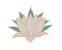 LadyJaneWellness