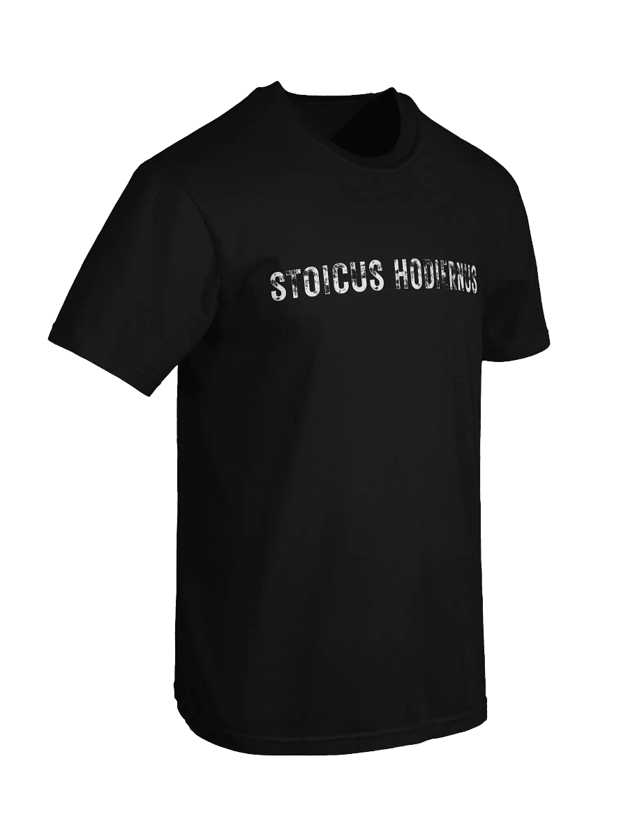 “Stoicus Hodiernus” – Modern Icarus Tee product image (25)