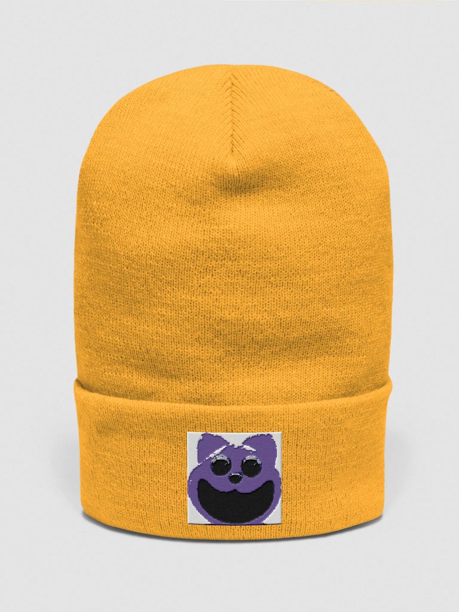 Ajs fun house winter hat product image (1)