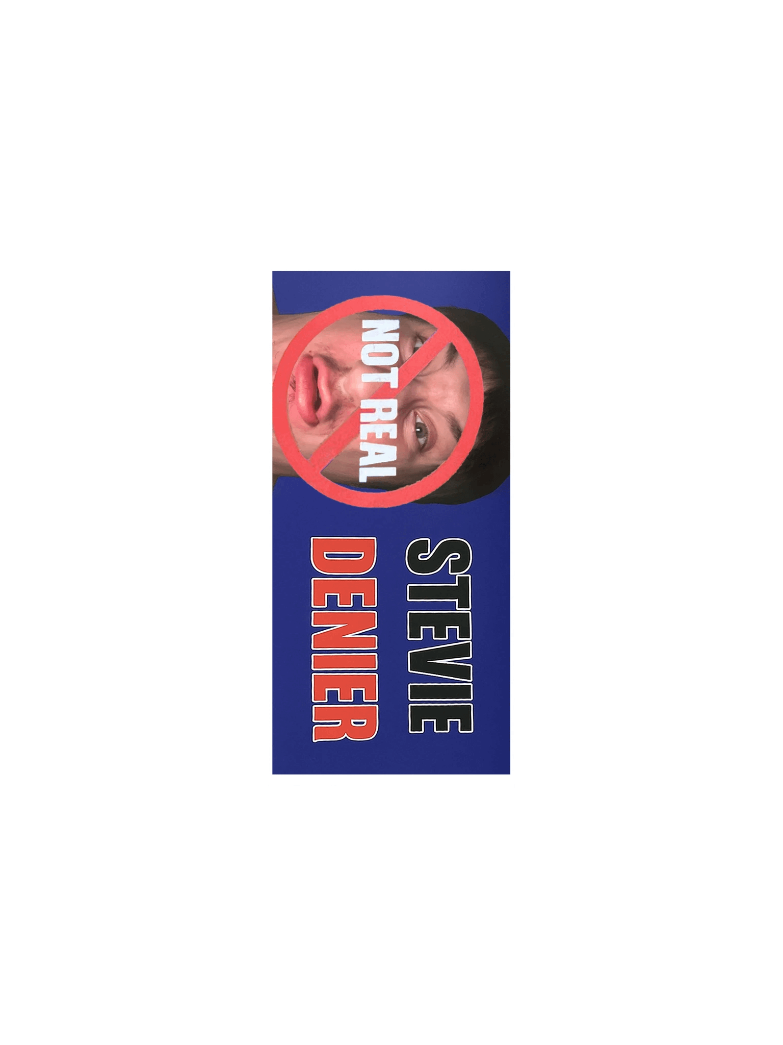 Stevie Sticker (wide) product image (3)
