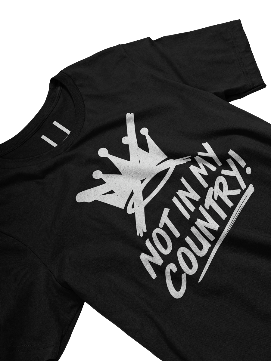 NO KINGS NOT IN MY COUNTRY T-Shirt product image (2)
