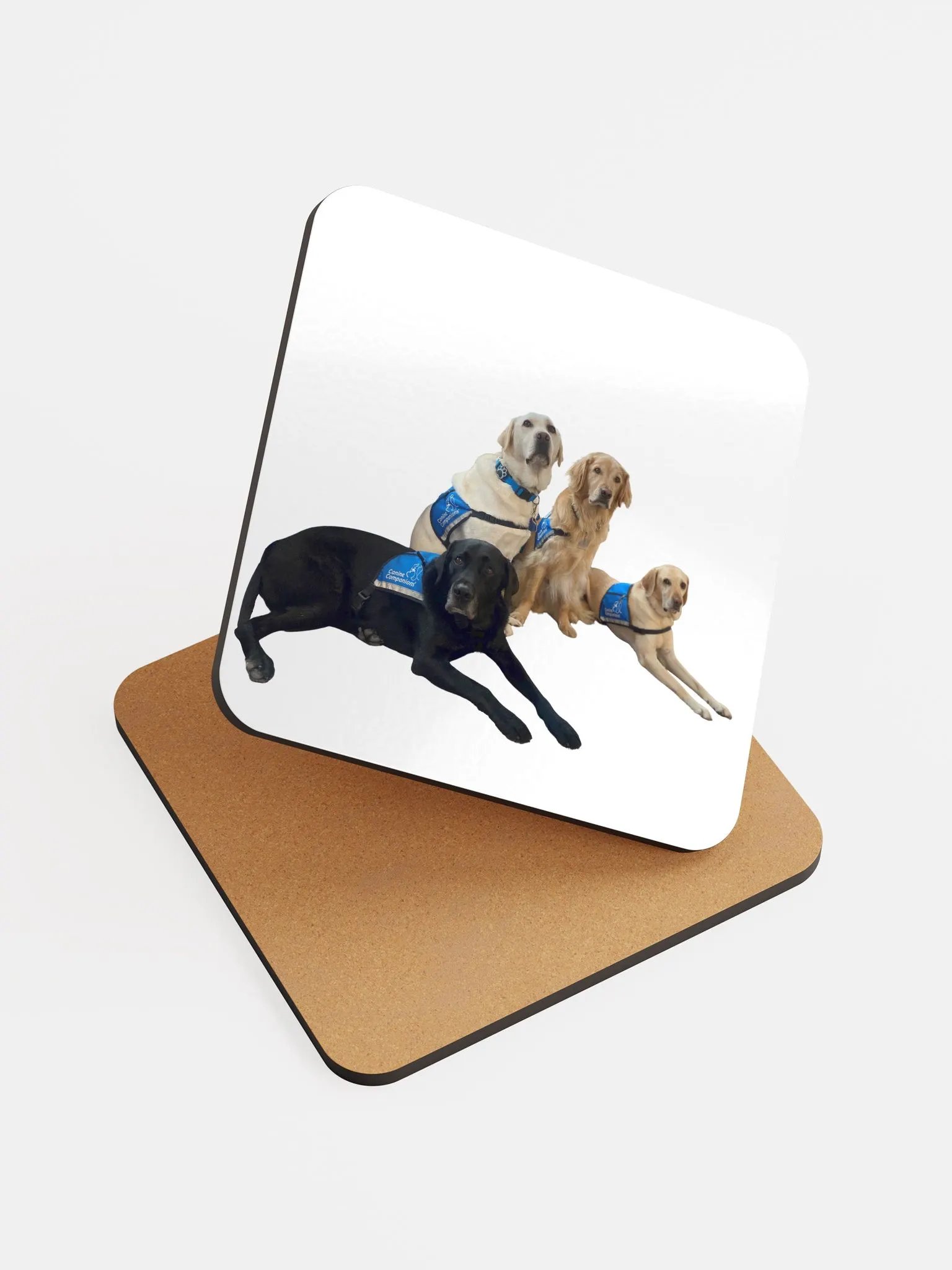 Facility Dogs Coaster product image (6)