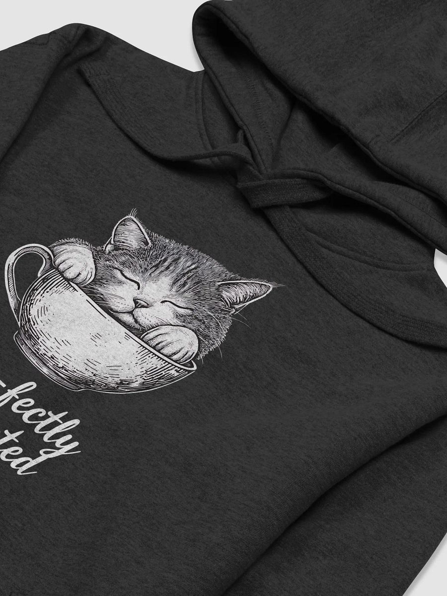 Purr-fectly Caffeinated Cat Lover Coffee Humor Shirt Unisex Hoodie product image (30)