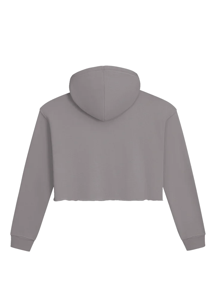 ACETAMINOFIEND duotone dove cropped hoodie product image (2)
