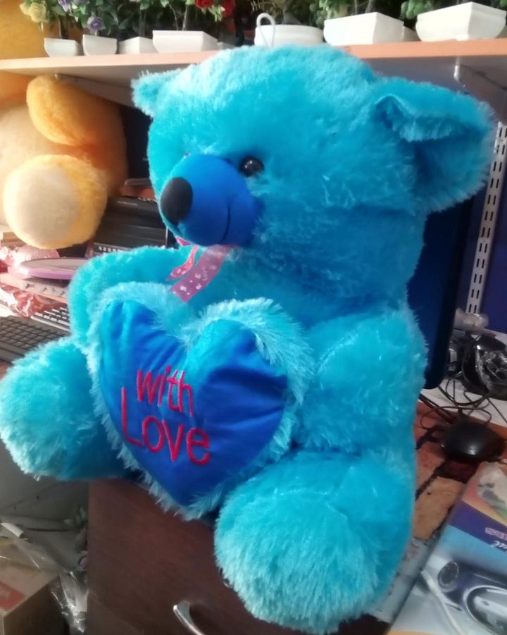 TEDDY BEAR product image (2)