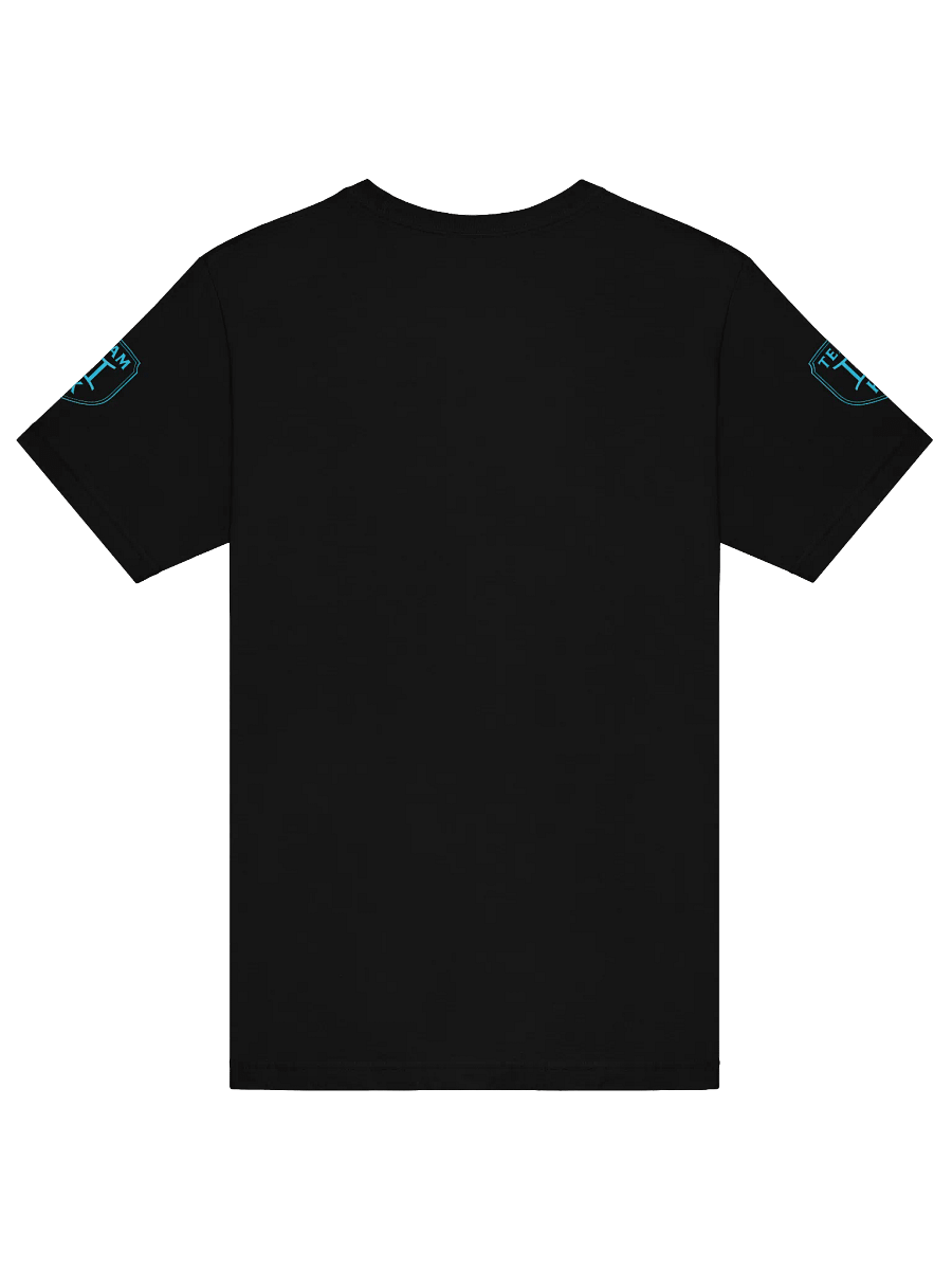 TEAM K Gemini ZODIAC T-Shirt product image (2)