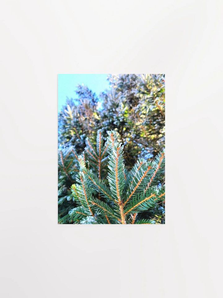 Frosted Trees product image (6)
