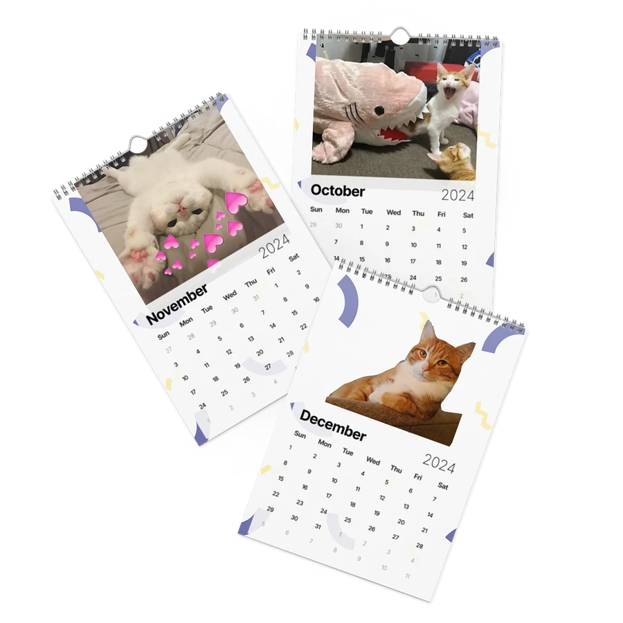 Wall Calendar (2024): Meme Cats product image (16)