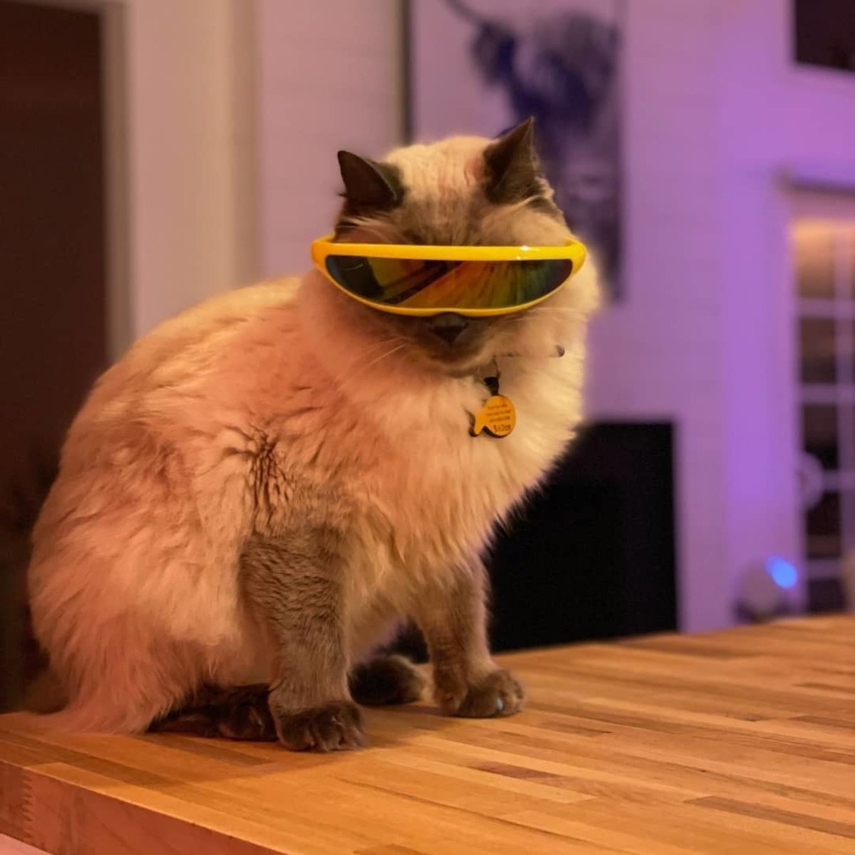 Lenny The Heart Custom ™ Yellow Glasses product image (1)