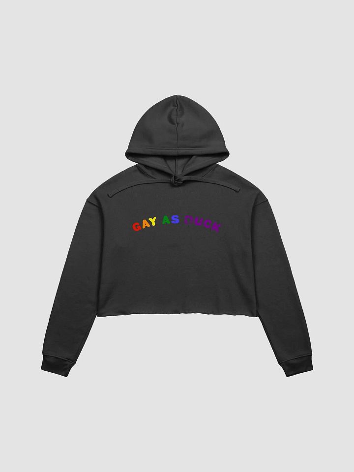 Gay As Duck Crop Hoodie - Pride product image (1)