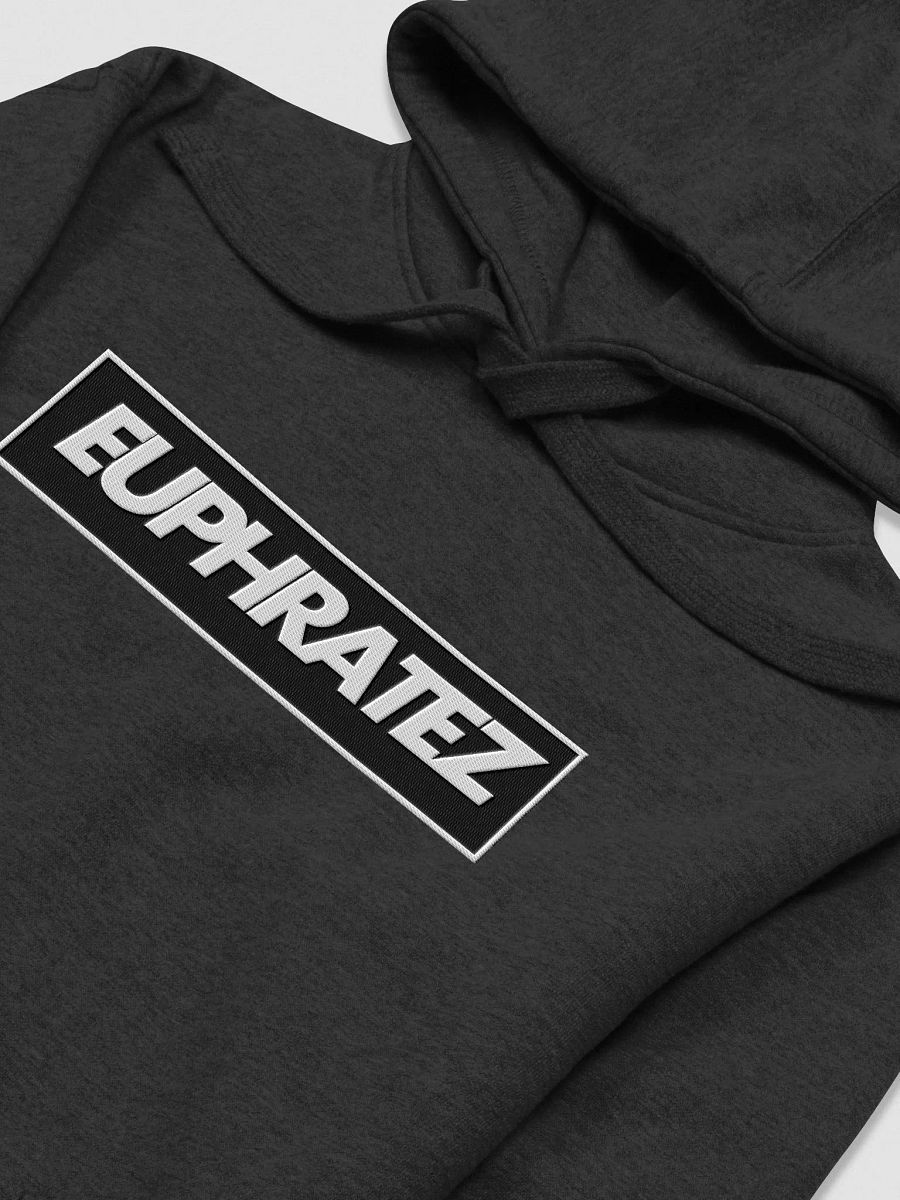 EUPHRATEZ Bold Unisex Hoodie product image (3)