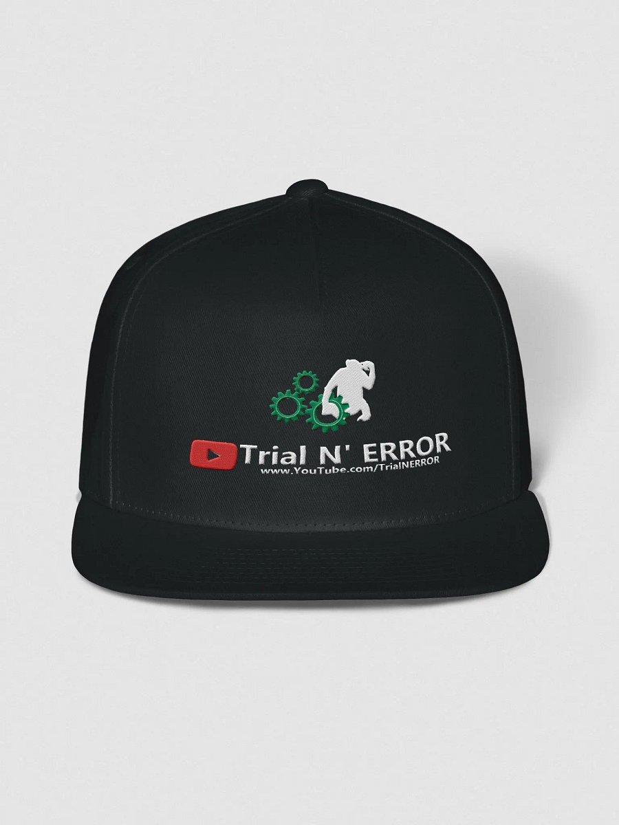 TNE Snapback product image (4)