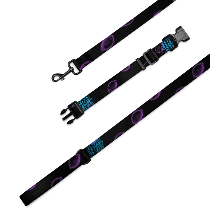 Brat Chat Leash and Collar product image (1)