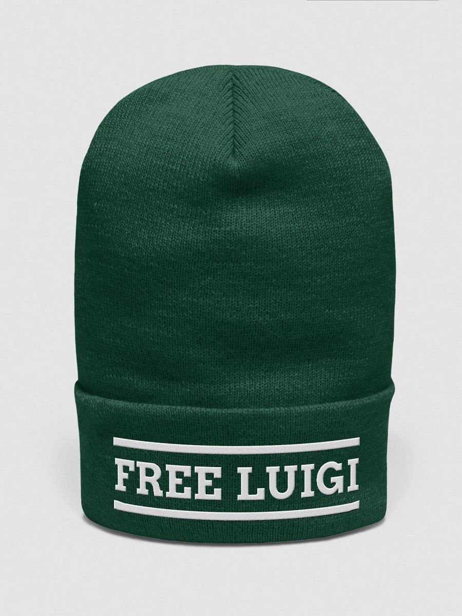FREE LUIGI Beanie product image (2)