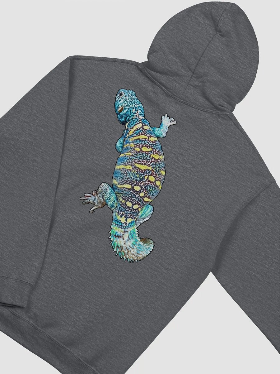 Logo Hoodie - Uromastyx Ornata product image (3)