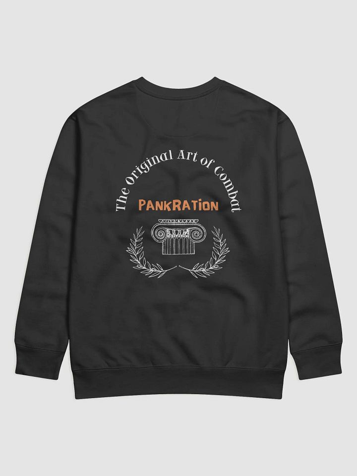 Theseus Painter Pankration Sweatshirt product image (5)