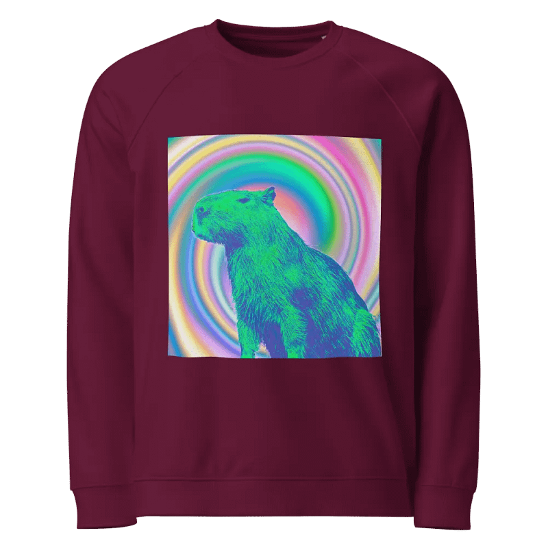 Spiral Capybara Organic Raglan Sweatshirt