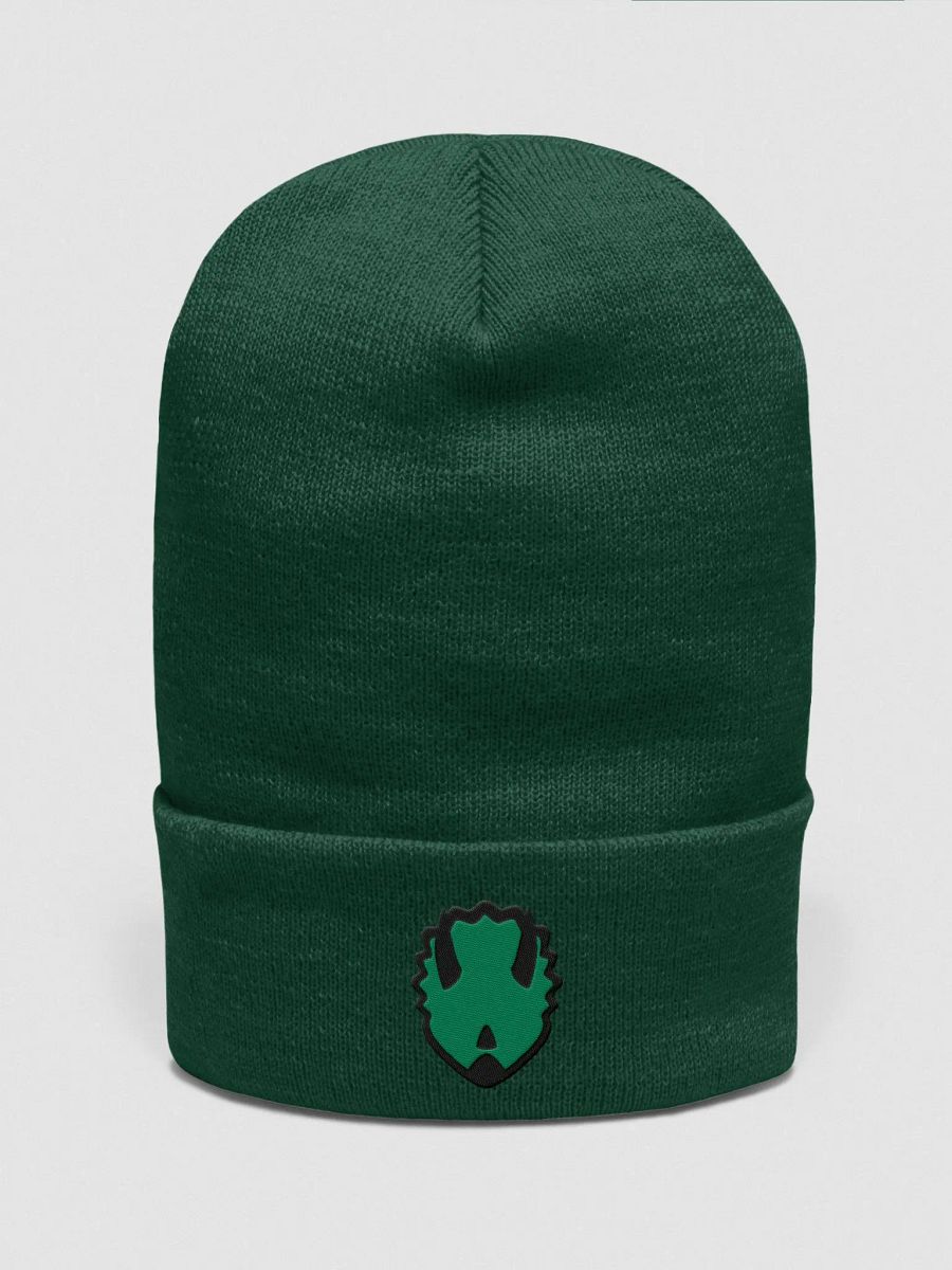Touque/Winter Hat Green product image (1)
