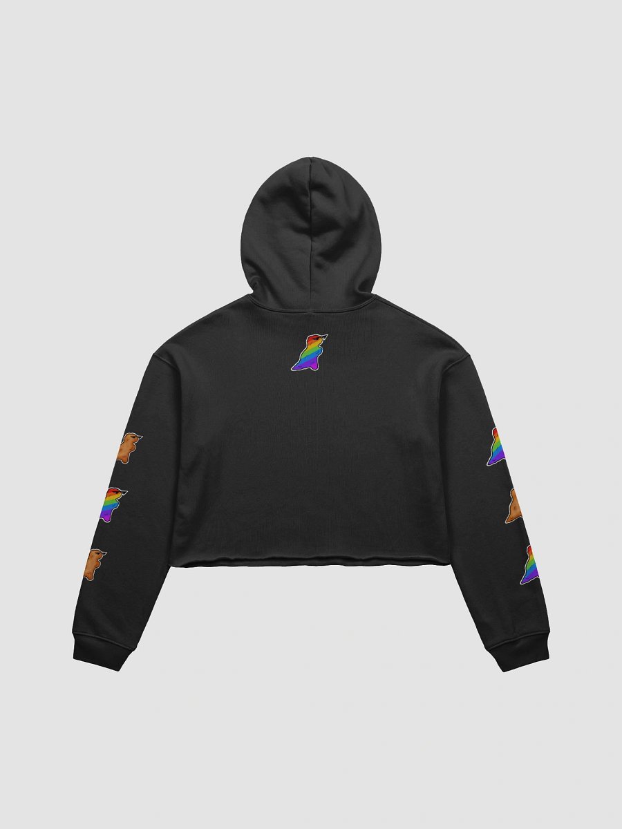 Pride Nuggie Crop Hoodie product image (5)