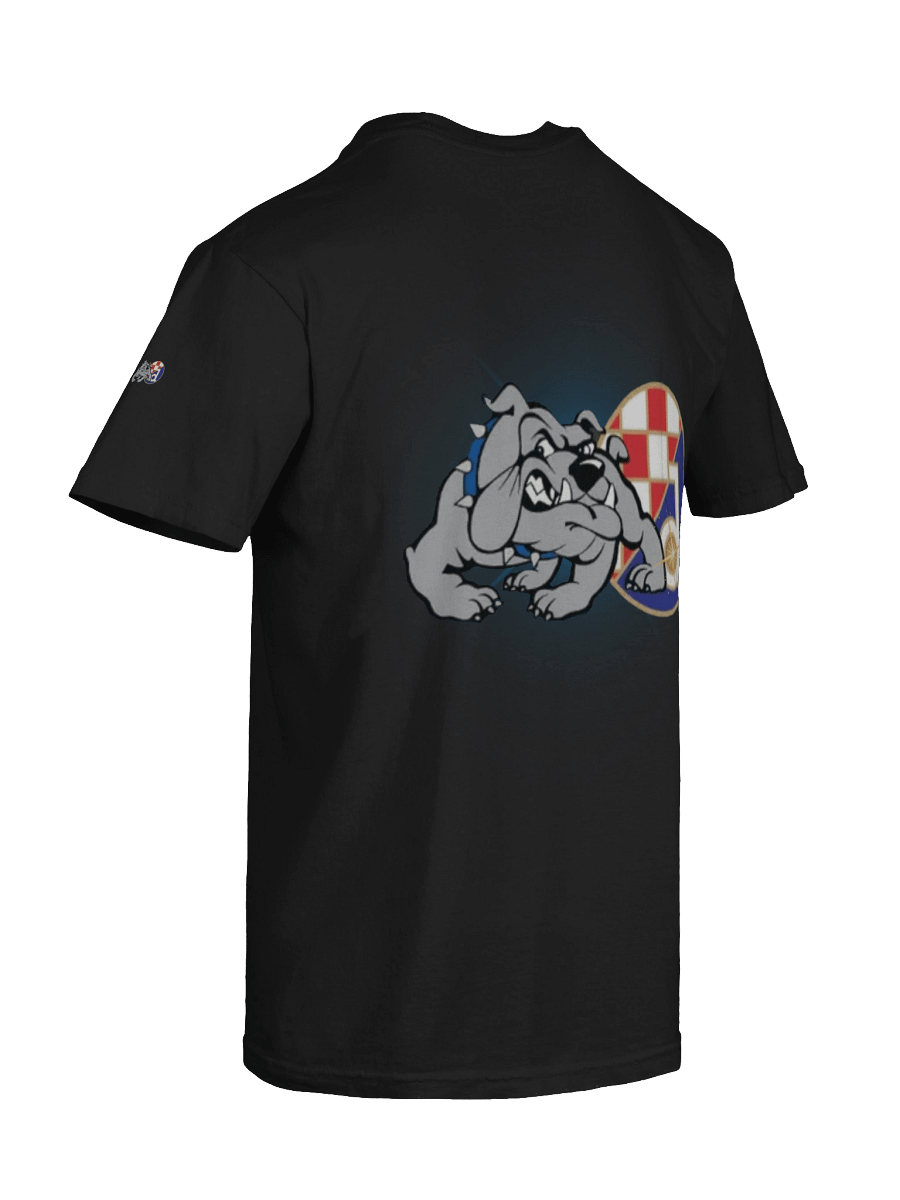 Bad blue Boys PNB Crown Comfort Tee product image (24)