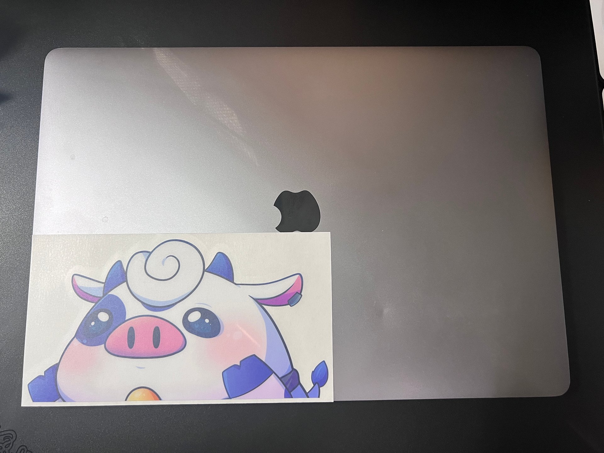 Zodiac Peekers Set product image (4)