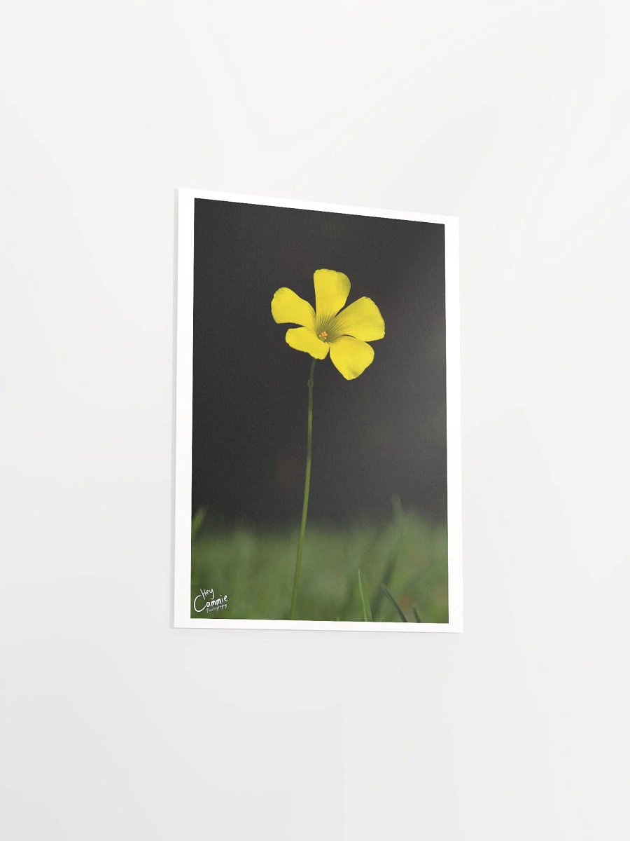 Life - Print product image (3)