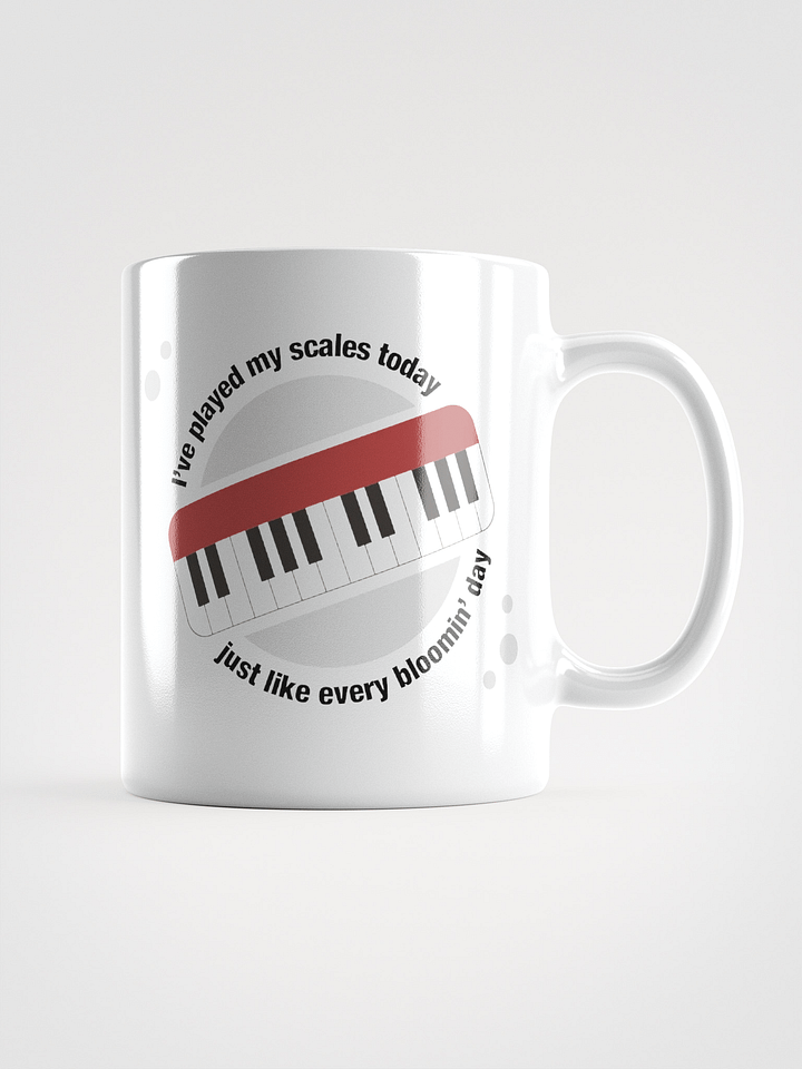 I’ve Played My Scales Today product image (3)