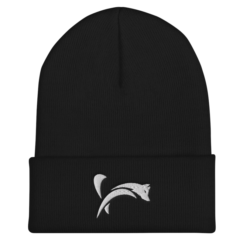 NightFoxx Beanie - Black product image (1)