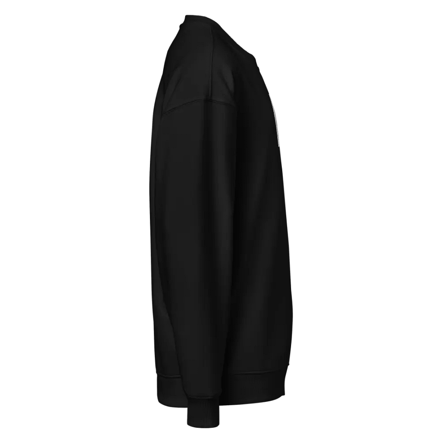 Kid Airplane (Stanley/Stella Unisex Organic Oversized Sweatshirt) product image (7)